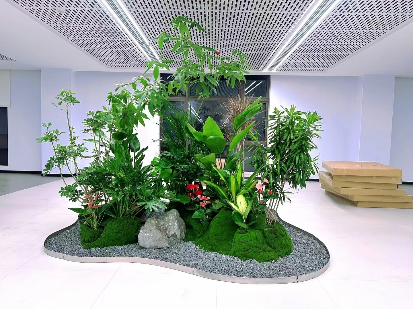 体验余姚绿植租摆,给生活注入盎然绿意!
